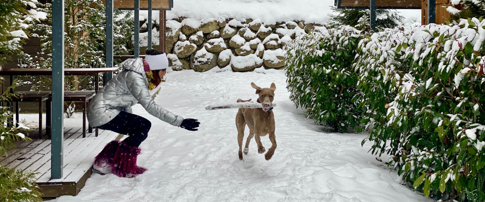 camping vernrda tu alojamienot con perro en la val d'aran