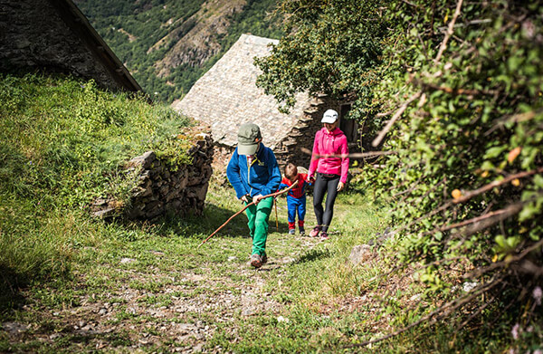 Contact avec la nature dans les activités programmées